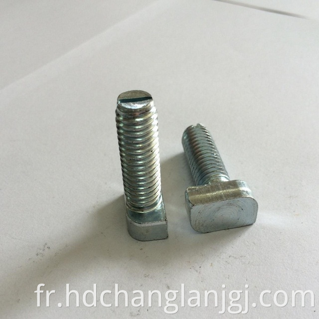 Hot dip galvanized T-bolt